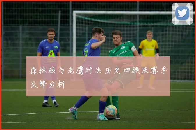 森林狼与老鹰对决历史回顾及赛季交锋分析