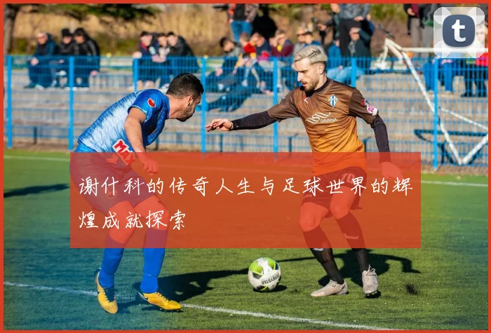 谢什科的传奇人生与足球世界的辉煌成就探索