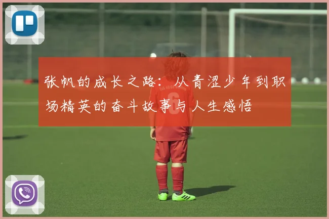 张帆的成长之路：从青涩少年到职场精英的奋斗故事与人生感悟